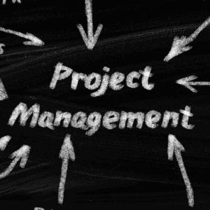 Project Management: Techniques & Skills for Success